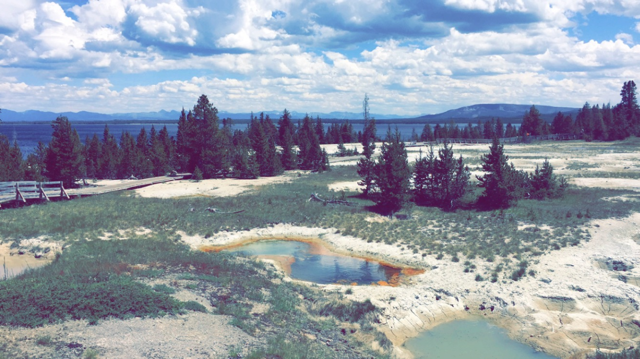 Yellowstone