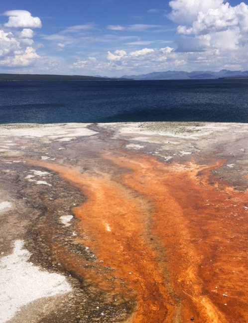 Yellowstone