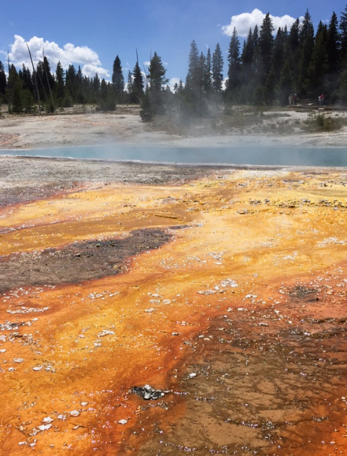 Yellowstone