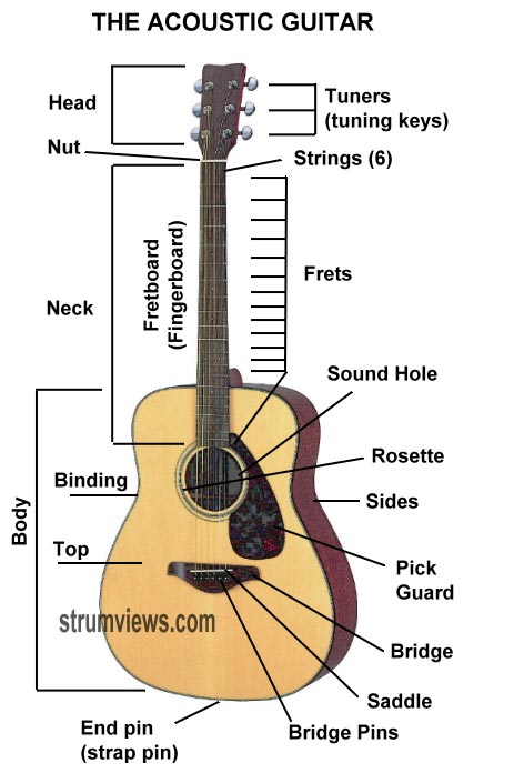 Acousic Guitar Parts