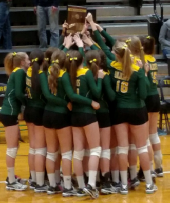 Volleyball regional champs