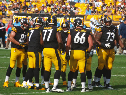 Steelerteam