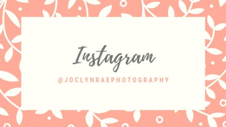 instagram logo canva